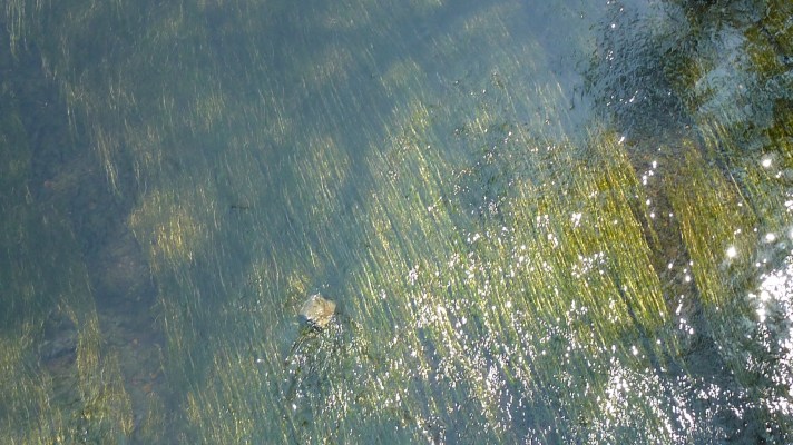 Ruhrwasser_copyr.Liedtke